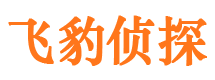 东港侦探公司